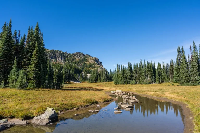 Finding Water on the Trail – Complete Guide to Sources, Carrying & Purification